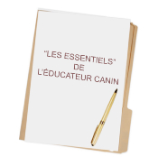 Les essentiels