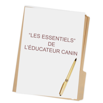 Les essentiels